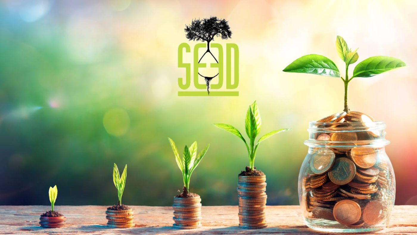 seed_money_crowdfunding